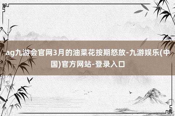 ag九游会官网3月的油菜花按期怒放-九游娱乐(中国)官方网站-登录入口